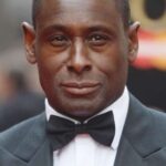 เดวิด แฮร์วู้ด (David Harewood)