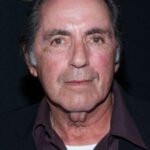 เดวิด โพรวาล (David Proval)