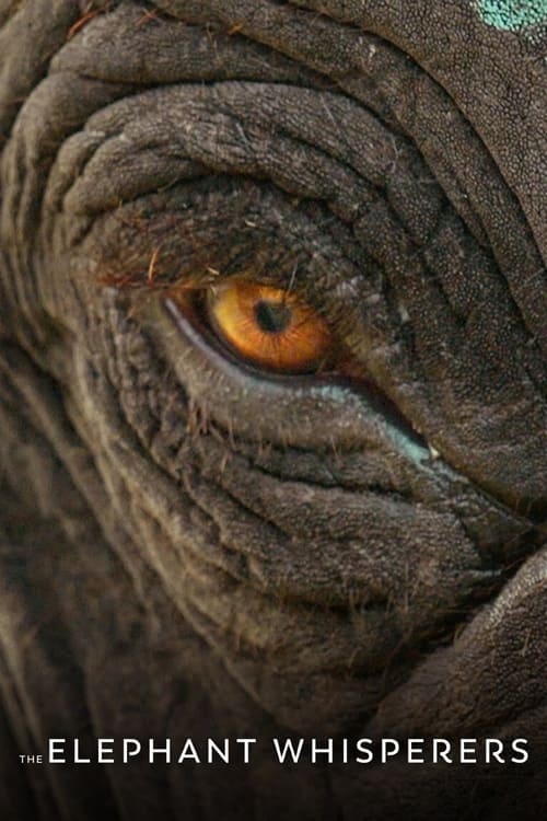 The Elephant Whisperers (2022) NETFLIX