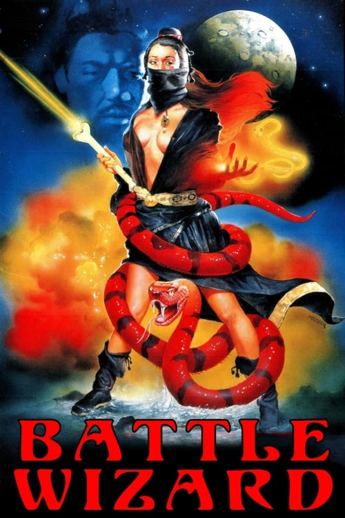 The Battle Wizard (Tian long ba bu) 8 เทพอสูรมังกรฟ้า (1977)