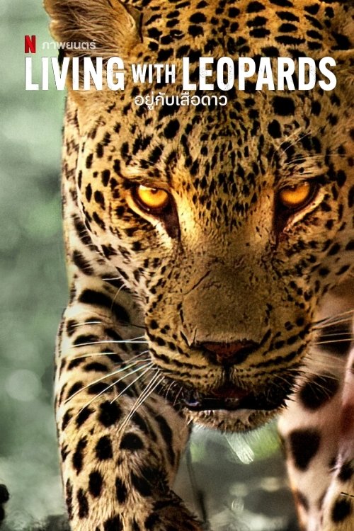 Living with Leopards อยู่กับเสือดาว (2024) บรรยายไทย