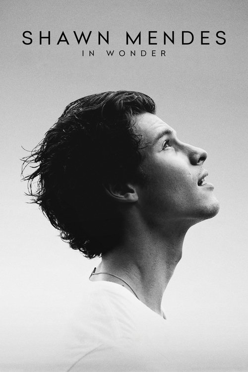 Shawn Mendes In Wonder ชอว์น เมนเดส ช่วงเวลามหัศจรรย์ (2020) NETFLIX บรรยายไทย