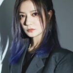 จ้าวเว่ย (Zhao Wei)