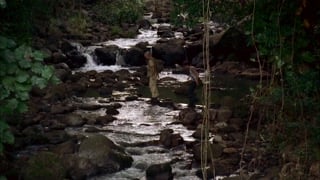 ตอนที่ 13