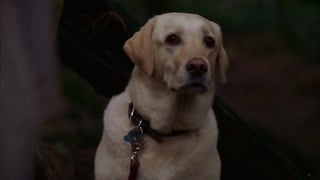 ตอนที่ 14