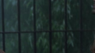ตอนที่ 7