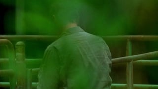 ตอนที่ 11