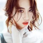 ตงฉี (Dong Qi)