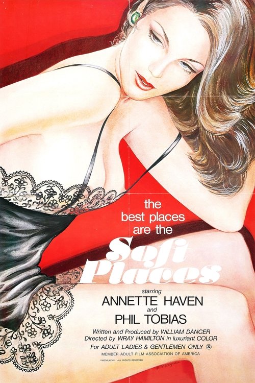 PlayBoy (and the Gang of Cherry) (2017) 20+