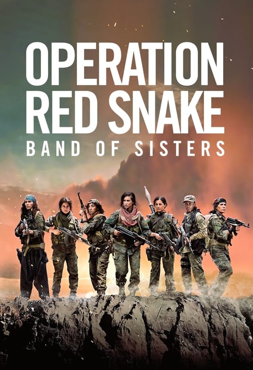 Sisters in Arms (Soeurs d’armes) พี่น้องวีรสตรี (2019)