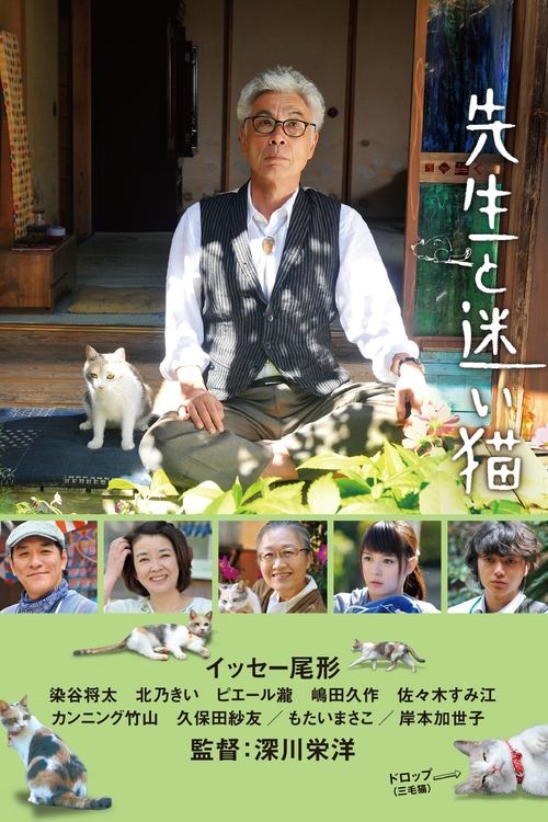 Finding Calico กลับบ้านเถอะนะเจ้าเหมียว (2015)