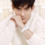 วิค โจว (Vic Chou)