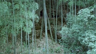 ตอนที่ 11