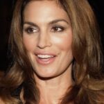 ซินดี้ ครอว์ฟอร์ด (Cindy Crawford)