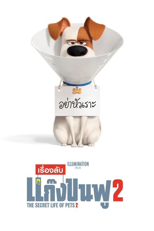 The Secret Life of Pets 2 เรื่องลับแก๊งขนฟู 2 (2019)