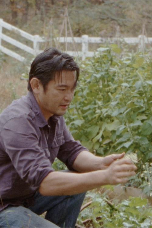 Little Fish (2020)