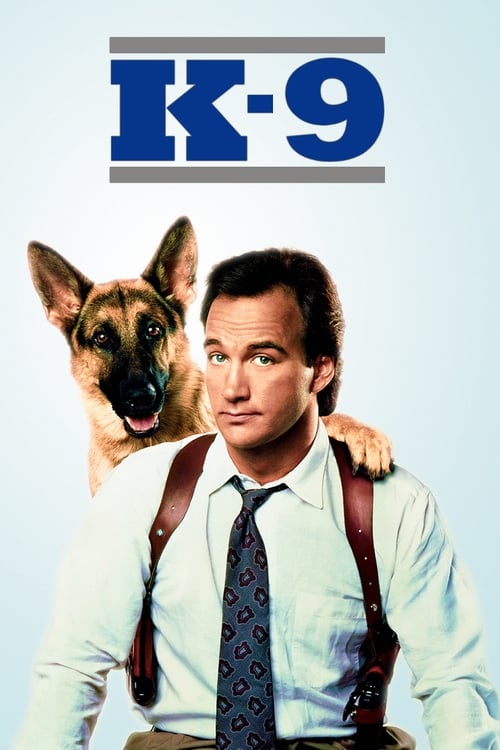 K-9 ตำรวจไม่มีหมวก (1989) ซับไทย