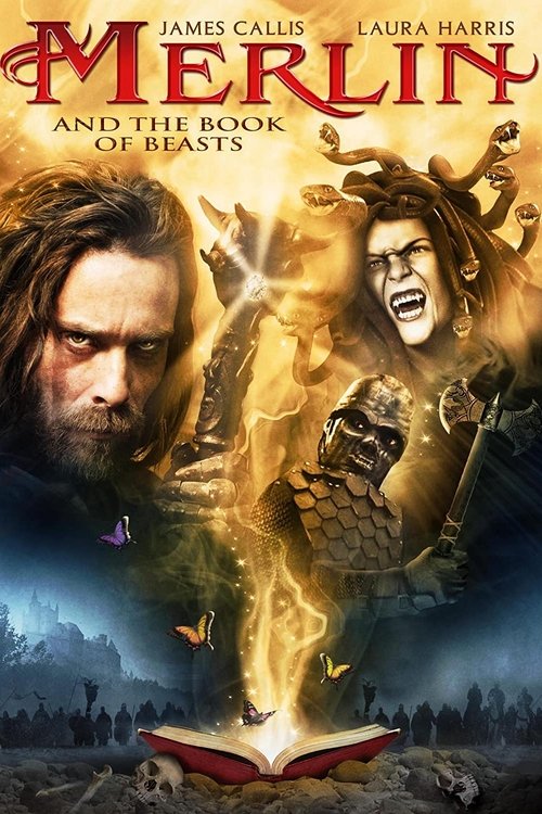 Merlin And The Book Of Beasts (2009) บรรยายไทย