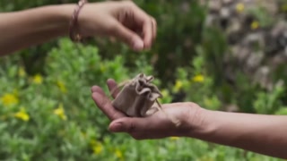 ตอนที่ 2