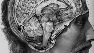 ตอนที่ 15