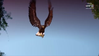 ตอนที่ 43