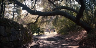 ตอนที่ 5