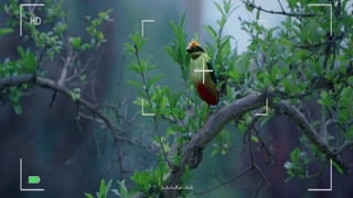 ตอนที่ 2