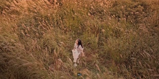 ตอนที่ 8