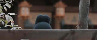 ตอนที่ 22