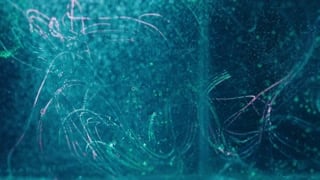 ตอนที่ 31