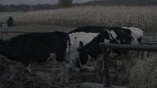 ตอนที่ 1 วันสุดท้าย