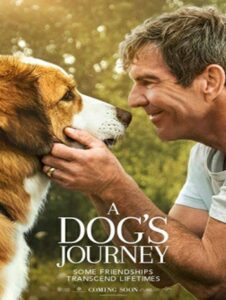 A Dog’s Journey (2019) หมา เป้าหมาย และเด็กชายของผม 2