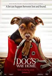 A Dog’s Way Home (2019) เพื่อนรักผจญภัยสี่ร้อยไมล์