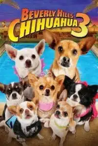 Beverly Hills Chihuahua 3 Viva La Fiesta! (2012) คุณหมาไฮโซ โกบ้านนอก 3