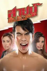 Fist Of Stardom (2019) สายบู๊ ฟัด จัด หนัก