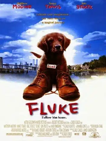 Fluke (1995) เกิดใหม่กลายเป็นหมา