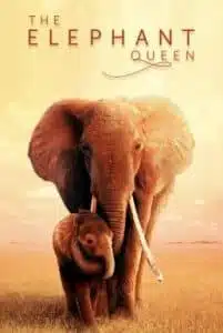 The Elephant Queen (2019) อัศจรรย์ราชินีแห่งช้าง